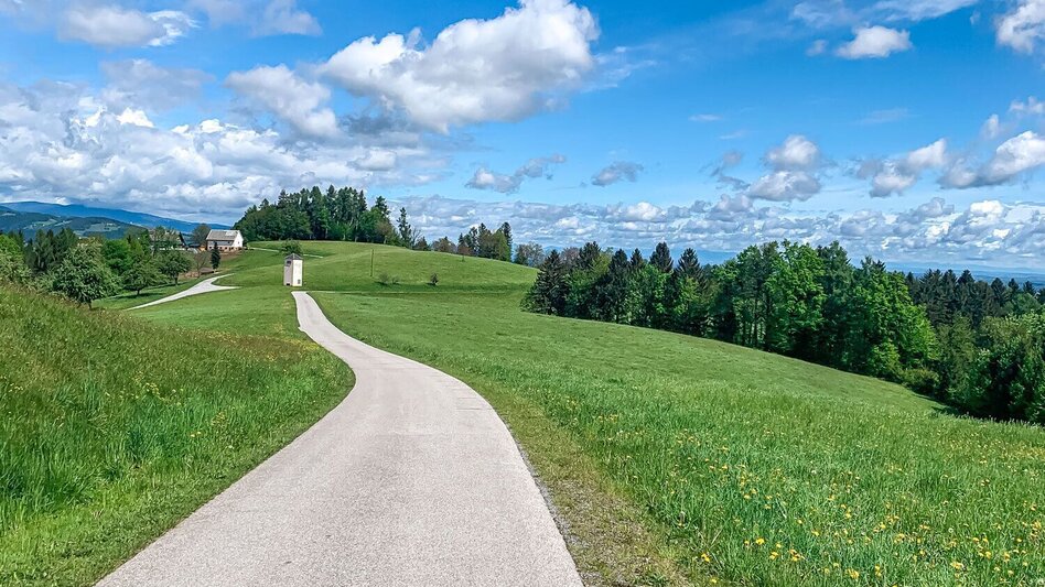 Mountainbike Große Panoramatour, Nr. 106 - Touren-Impression #2.3 | © Südsteiermark