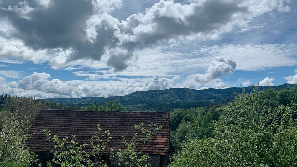 Mountainbike Große Panoramatour, Nr. 106 - Touren-Impression #2.4 | © Südsteiermark