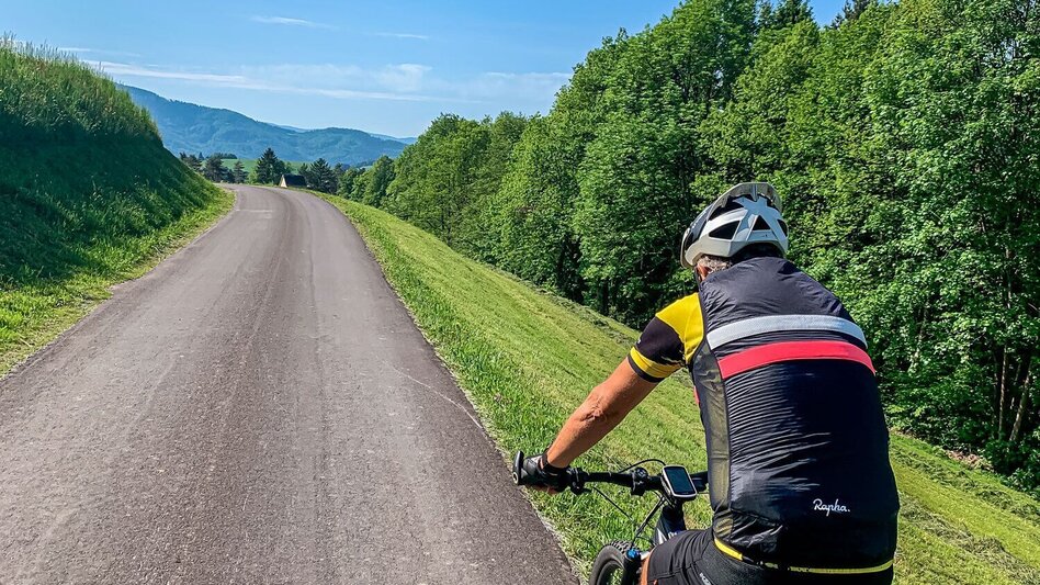 Mountainbike Um den Buchenberg, Nr. 111 - Touren-Impression #2.6 | © Südsteiermark