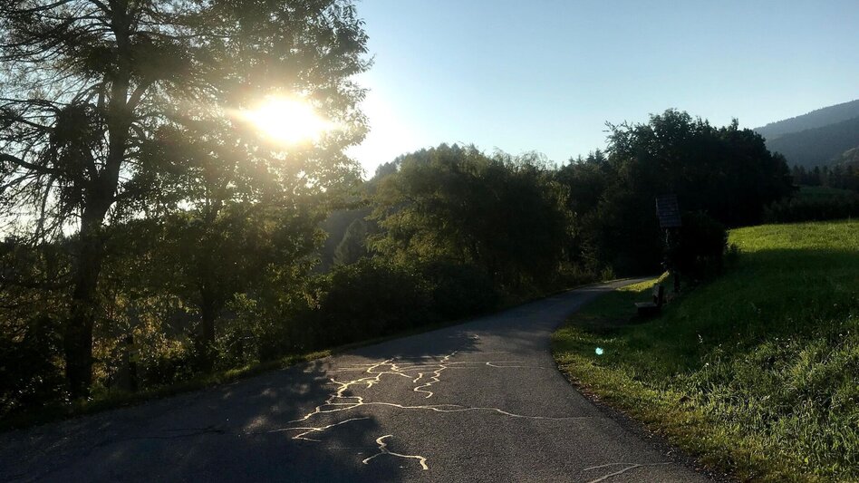 Mountain Biking Kapuner - St. Pongratzen - La Classicissima. - Touren-Impression #2.3 | © Südsteiermark