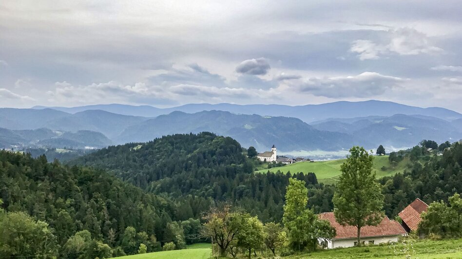 Mountain Biking Sveti Janez - gems for the tour book. - Touren-Impression #2.1 | © Südsteiermark