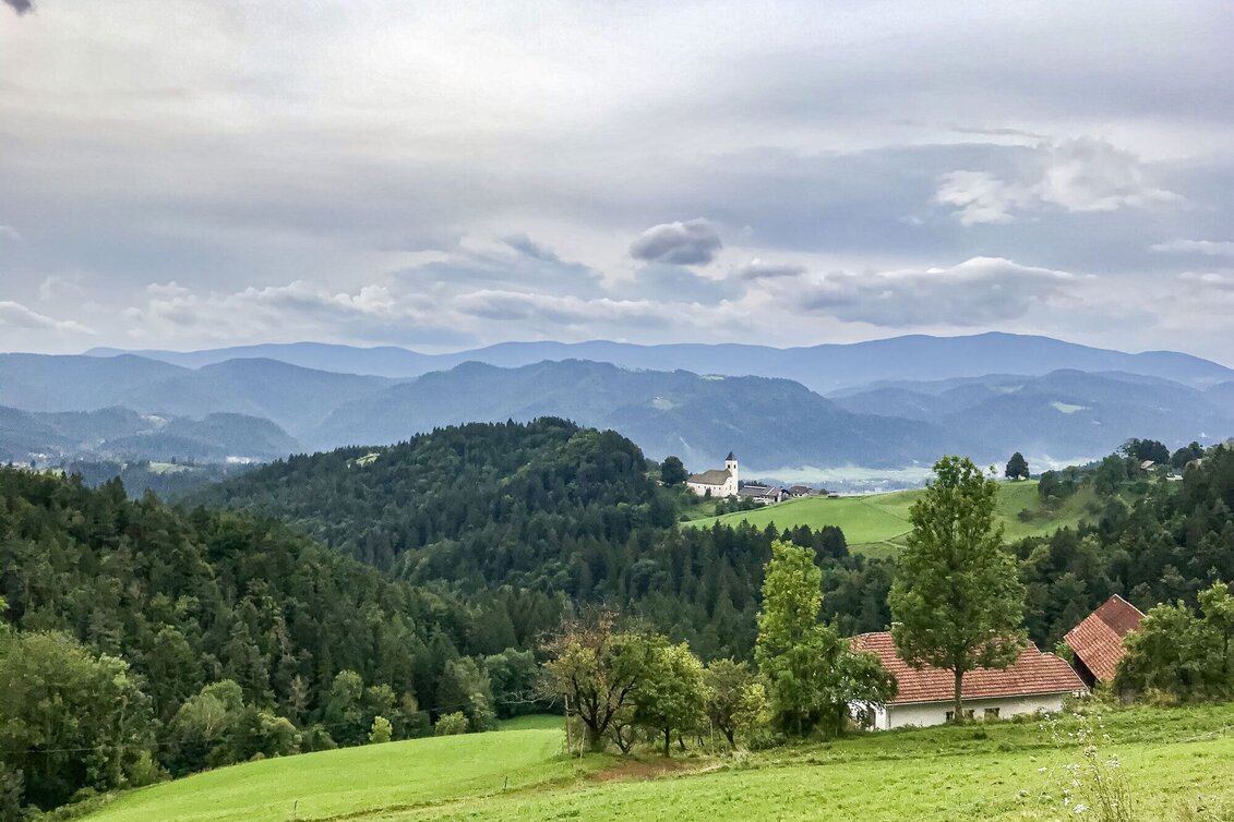 Mountain Biking Sveti Janez - gems for the tour book. - Touren-Impression #1 | © Südsteiermark