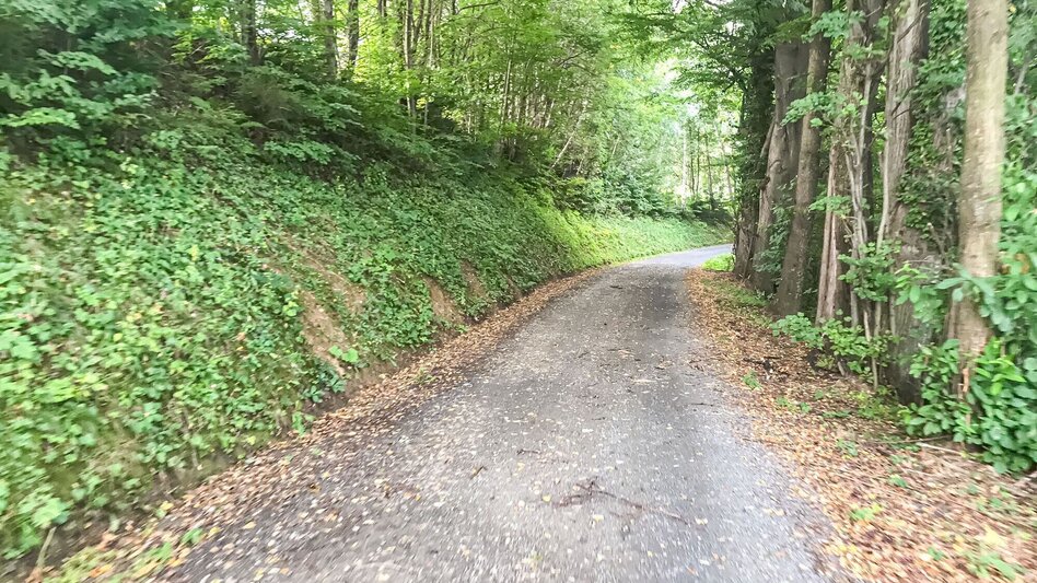 Mountain Biking Sveti Janez - gems for the tour book. - Touren-Impression #2.2 | © Südsteiermark