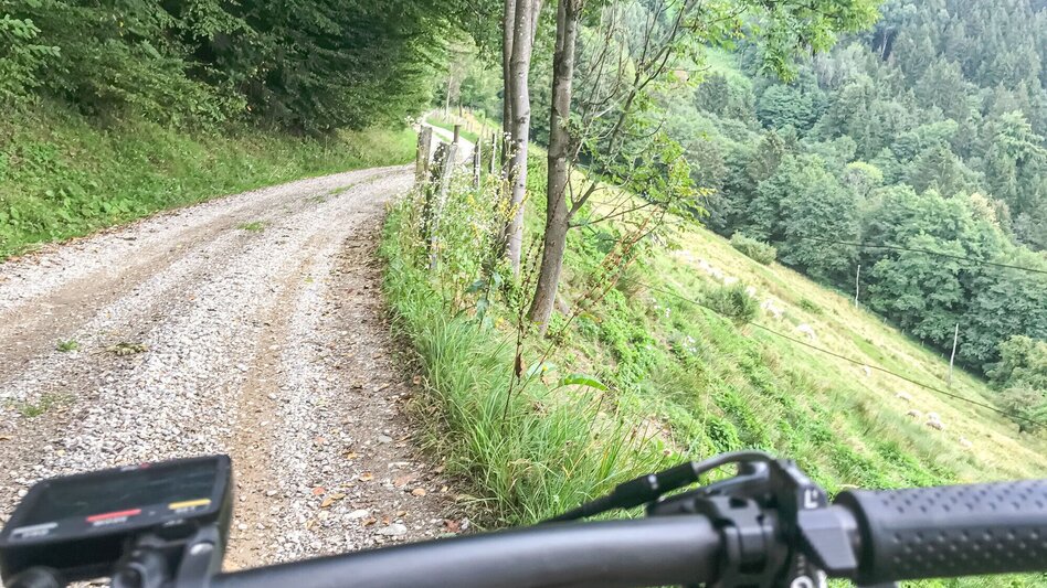Mountain Biking Sveti Janez - gems for the tour book. - Touren-Impression #2.3 | © Südsteiermark