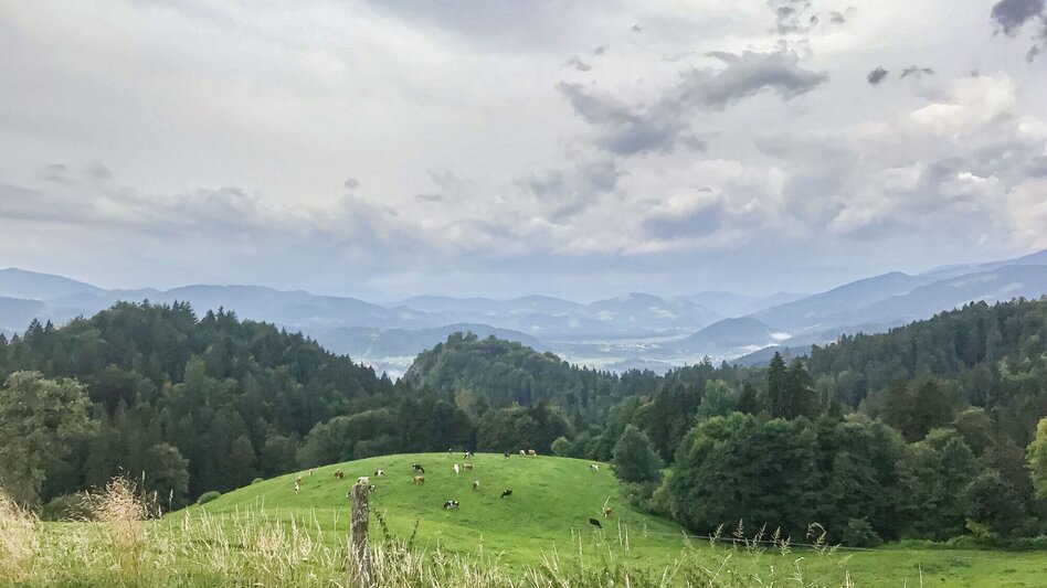 Mountain Biking Sveti Janez - gems for the tour book. - Touren-Impression #2.4 | © Südsteiermark