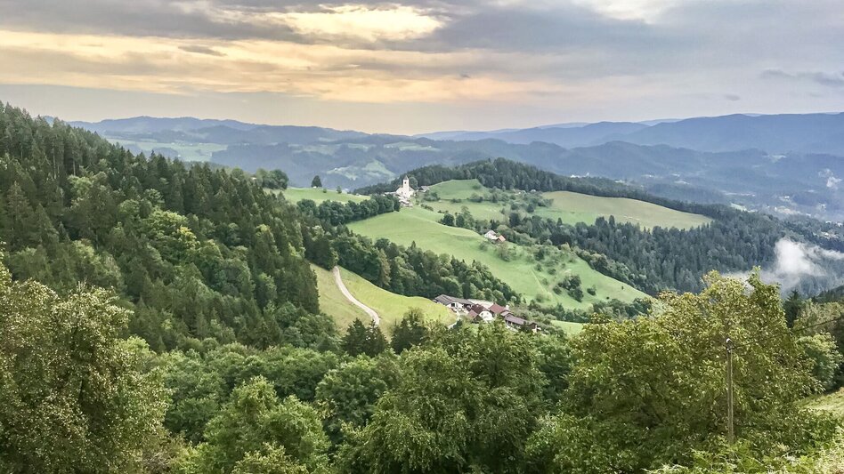 Mountain Biking Sveti Janez - gems for the tour book. - Touren-Impression #2.5 | © Südsteiermark