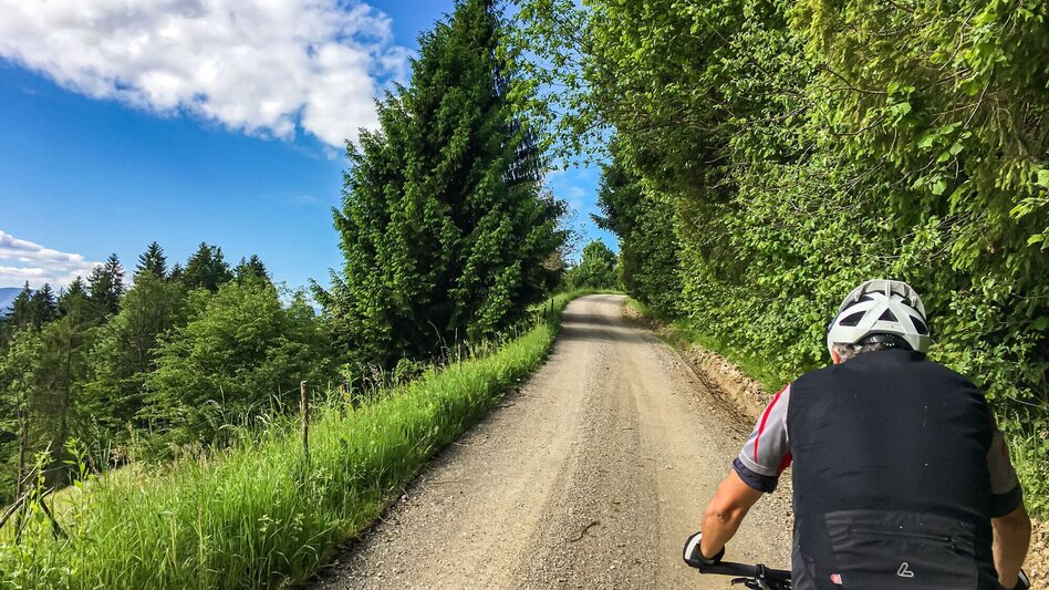 Mountain Biking Sveti Janez - gems for the tour book. - Touren-Impression #2.6 | © Südsteiermark