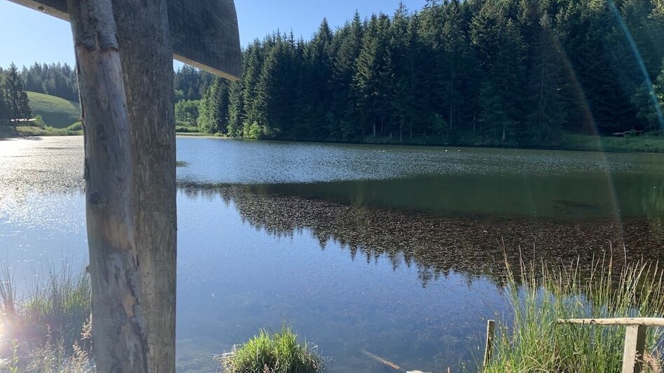 Mountain Biking St. Pongratzen-Svetij Duh - The (re)way is the goal. - Touren-Impression #2.3 | © Schilcherland Steiermark