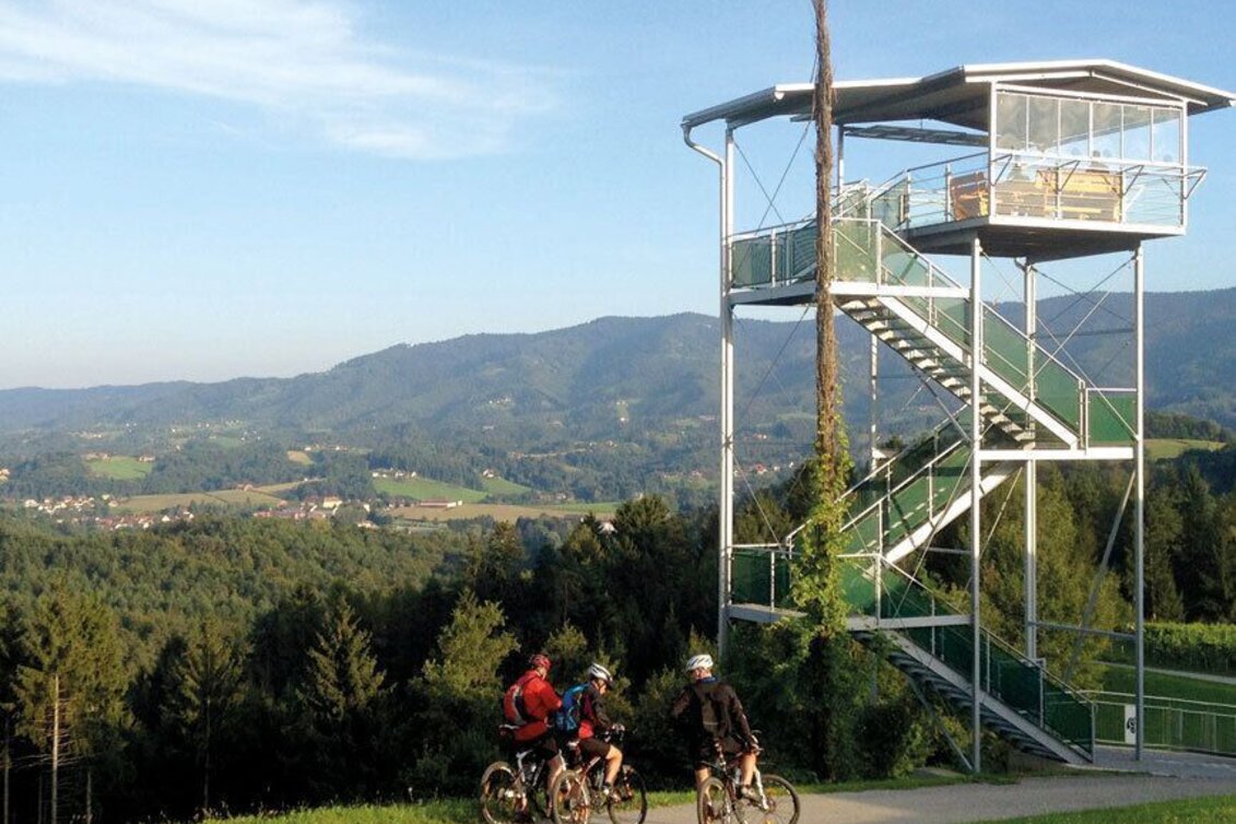 Mountainbike Zwei-Länder-Tour, Nr. 120 - Touren-Impression #1 | © Südsteiermark