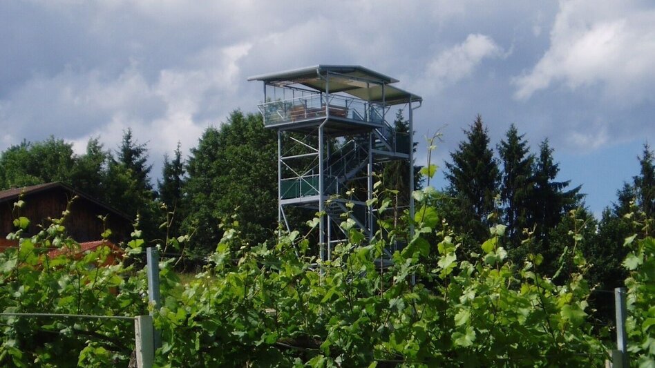 Mountainbike Zwei-Länder-Tour, Nr. 120 - Touren-Impression #2.2 | © Südsteiermark