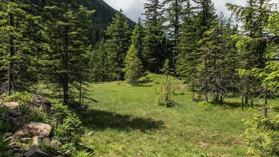 Wanderung Rundwanderung Neualm - Duisitzkarsee - Touren-Impression #2.5 | © Gerhard Pilz - www.gpic.at