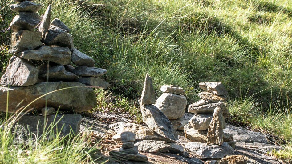 Wanderung Rundwanderung Neualm - Duisitzkarsee - Touren-Impression #2.6 | © Gerhard Pilz