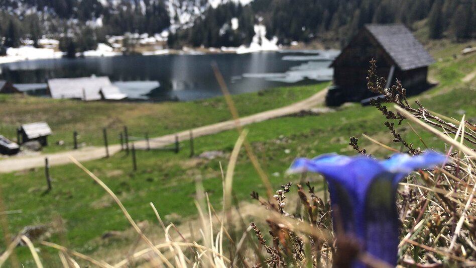 Wanderung Rundwanderung Neualm - Duisitzkarsee - Touren-Impression #2.12 | © Tourismusverband Schladming - Katrin Hutegger
