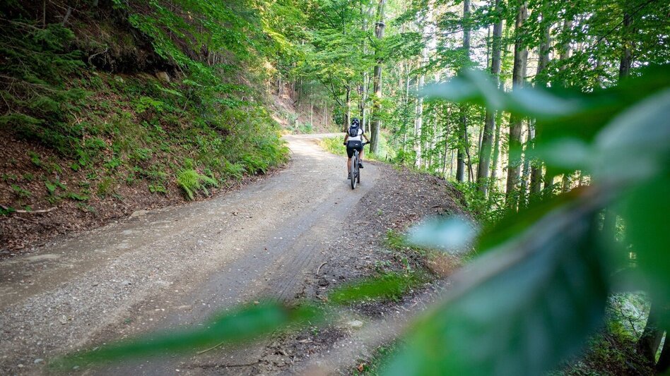 Mountain Biking Urbani - Svetij Duh - all good things come in twos. - Touren-Impression #2.2 | © Schilcherland Steiermark