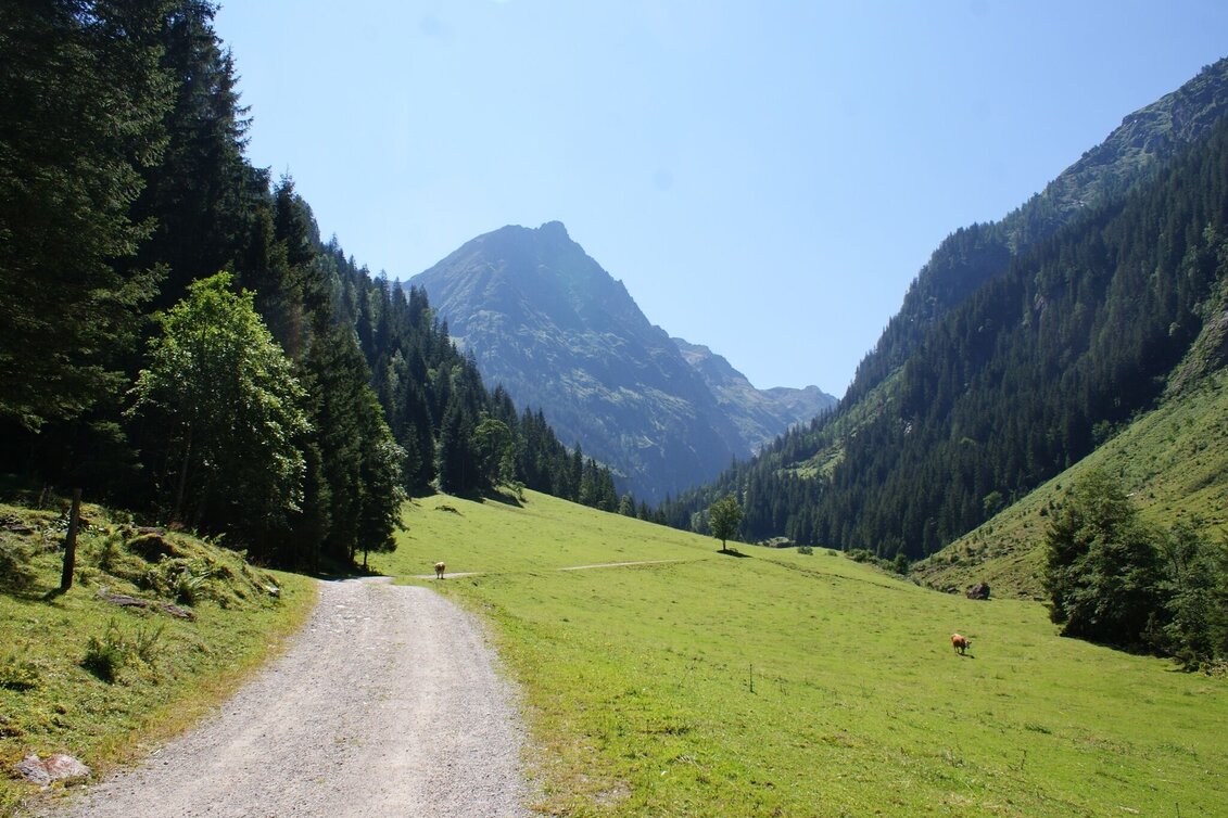 Mountain Hike Hochgolling - 2,862 m - Touren-Impression #1 | © Gerhard Pilz