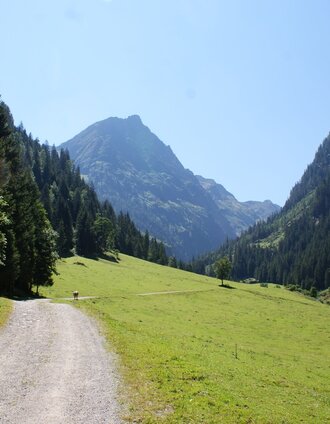 Alp road to Steinriesental valley near Untere Steinwendalm | Gerhard Pilz | © Gerhard Pilz