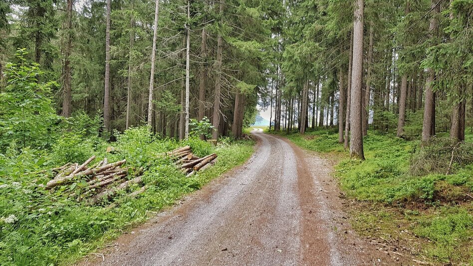 Hiking route Katzenburg Tour - Touren-Impression #2.4 | © Gerhard Pilz