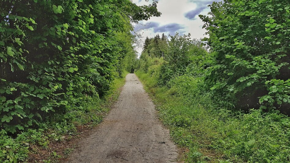 Hiking route Katzenburg Tour - Touren-Impression #2.6 | © Gerhard Pilz
