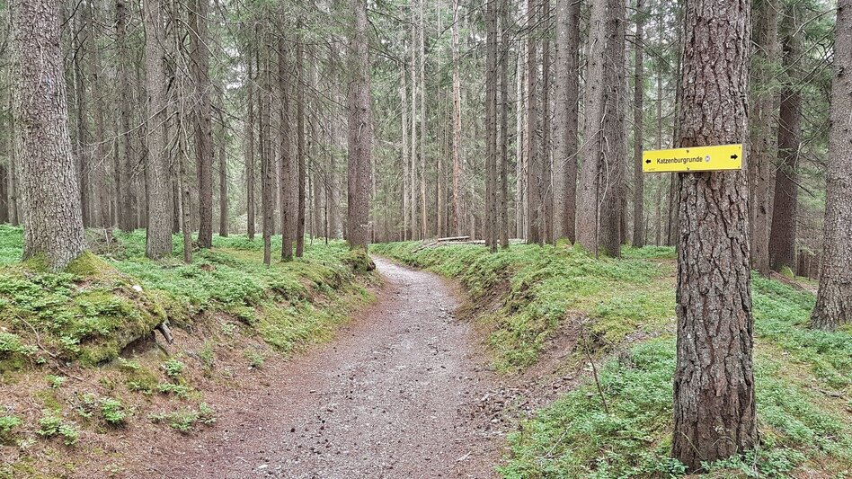 Hiking route Katzenburg Tour - Touren-Impression #2.7 | © Gerhard Pilz