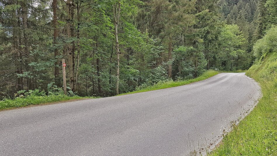 Hiking route Katzenburg Tour - Touren-Impression #2.9 | © Gerhard Pilz