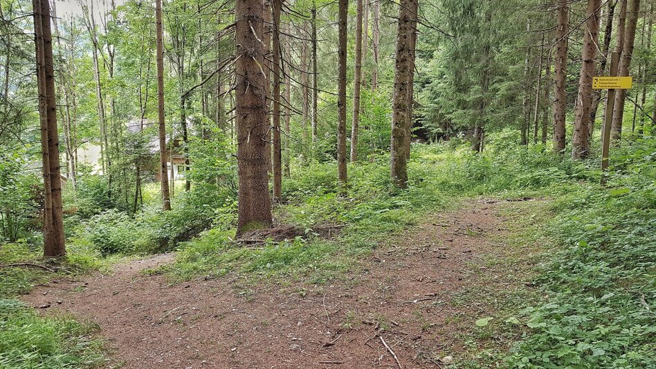 Hiking route Katzenburg Tour - Touren-Impression #2.10 | © Gerhard Pilz