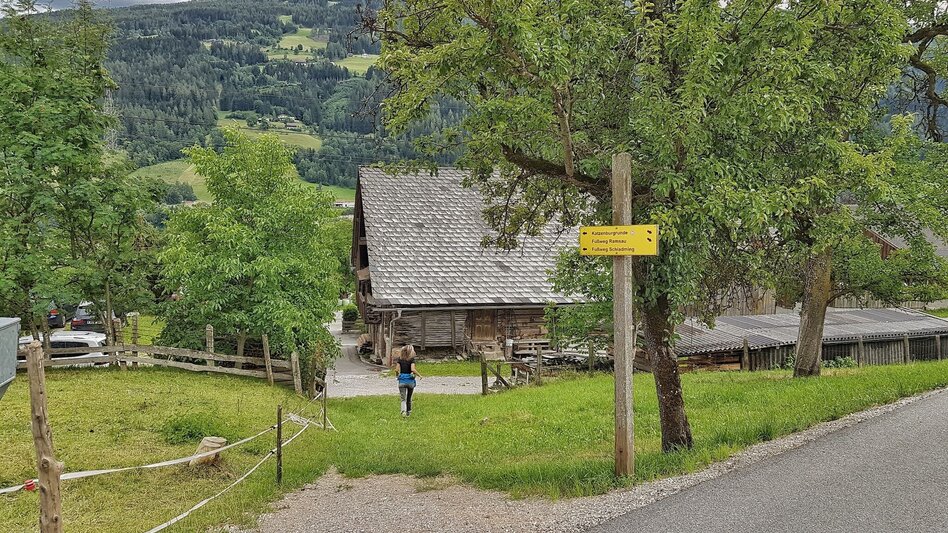 Hiking route Katzenburg Tour - Touren-Impression #2.11 | © Gerhard Pilz
