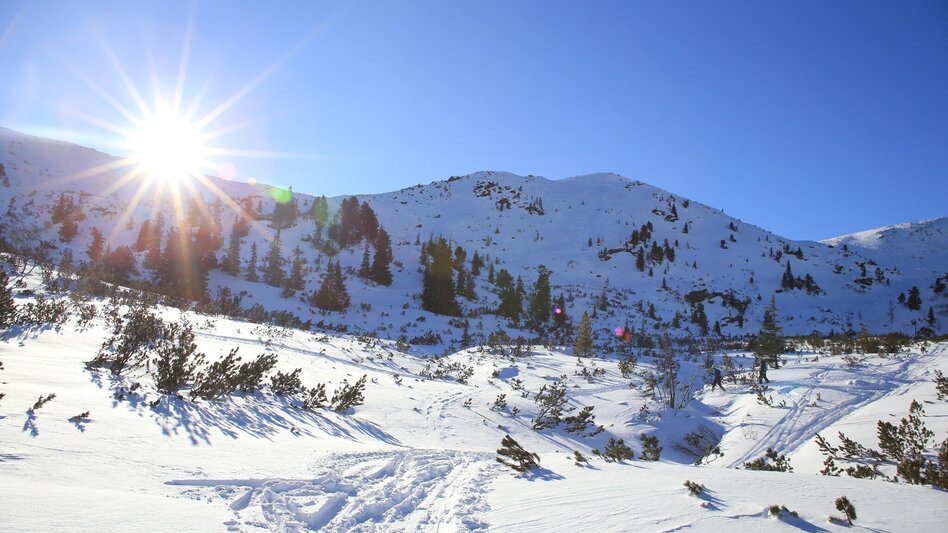Snowshoe walking Plateau hiking tour Planneralm - Touren-Impression #2.2 | © Erlebnisregion Schladming-Dachstein