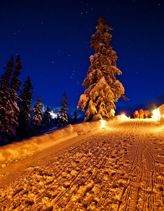 Nachtrodeln auf der Planneralm | Tom Lamm | © Erlebnisregion Schladming-Dachstein