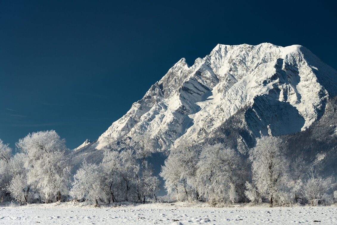 Winter Hiking Winter hiking on the Moosrundwanderweg in Irdning - Touren-Impression #1 | © Erlebnisregion Schladming-Dachstein