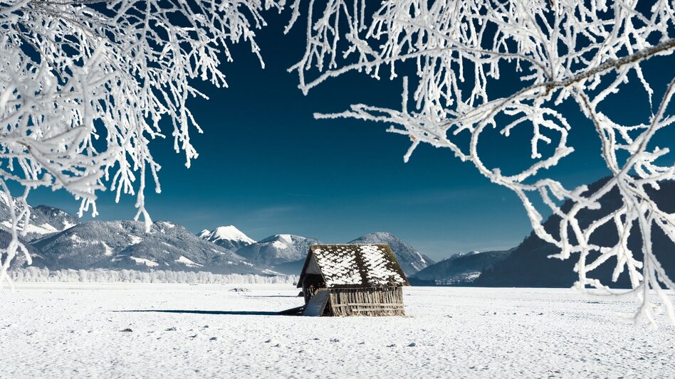 Winter Hiking Winter hiking on the Moosrundwanderweg in Irdning - Touren-Impression #2.6 | © Erlebnisregion Schladming-Dachstein