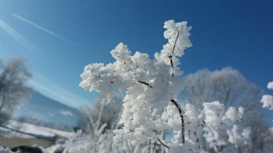 Winter Hiking Winter hiking on the Moosrundwanderweg in Irdning - Touren-Impression #2.5 | © Erlebnisregion Schladming-Dachstein