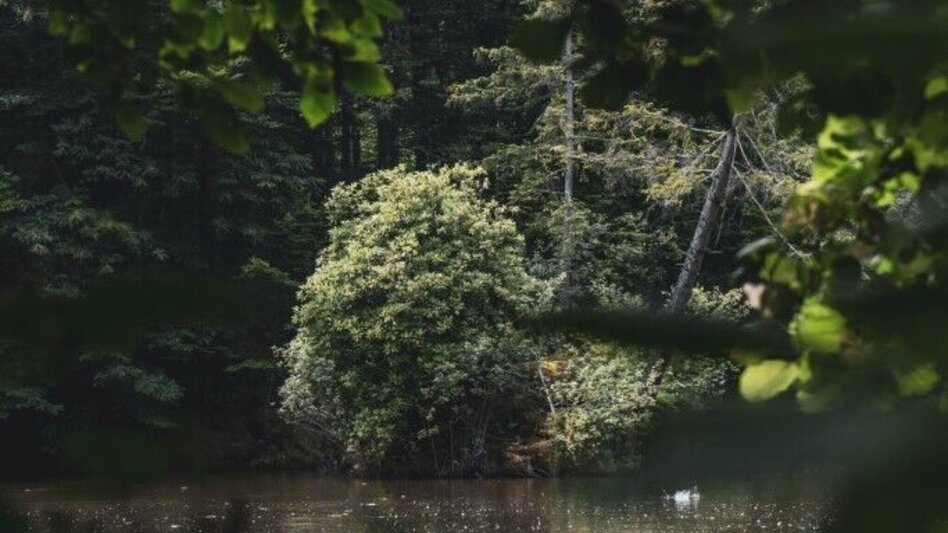 Wanderung Rundweg über Schloss Hollenegg – F5  - Touren-Impression #2.5 | © TV Südsteiermark/Silvan