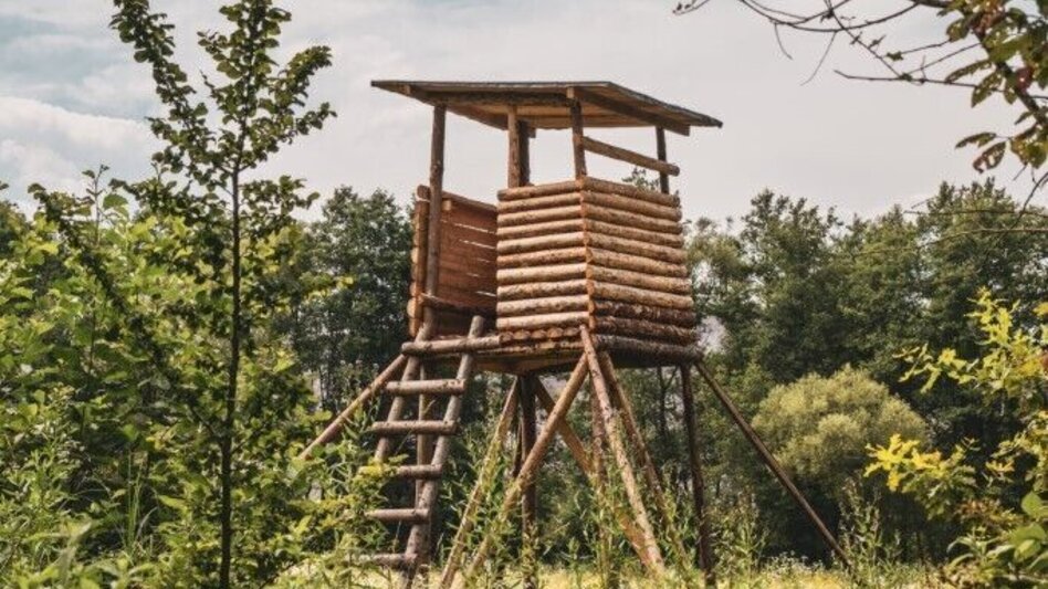 Wanderung Rundweg über Schloss Hollenegg – F5  - Touren-Impression #2.6 | © TV Südsteiermark/Silvan