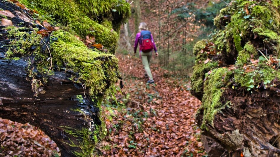 Wanderung Rundweg nach Trahütten Weg Nr. 13 und 14 - Touren-Impression #2.1 | © TVB/Südsteiermark/WEGES OG Sarcletti / Zienitzer