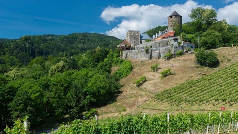 Hiking route Laßnitztalweg - hiking tour "Klause" Deutschlandsberg - Touren-Impression #2.4 | © TVB/Südsteiermark/Harry Schiffer