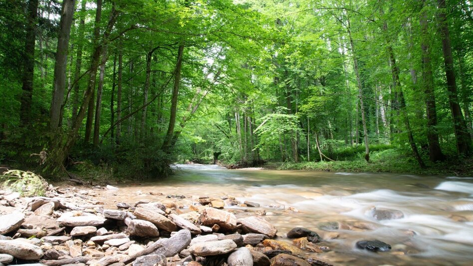 Hiking route Laßnitztalweg - hiking tour "Klause" Deutschlandsberg - Touren-Impression #2.1 | © TVB/Südsteiermark/Dominik Feibel