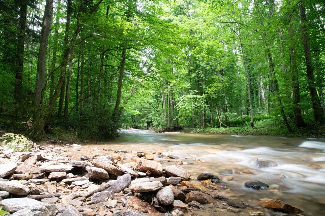 Hiking route Laßnitztalweg - hiking tour "Klause" Deutschlandsberg - Touren-Impression #1 | © TVB/Südsteiermark/Dominik Feibel