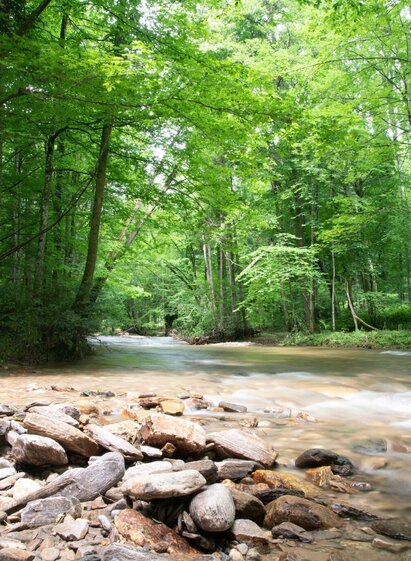 Natura 2000 area Klause Deutschlandsberg | © TVB/Südsteiermark/Dominik Feibel | Dominik Feibel | © TVB/Südsteiermark/Dominik Feibel