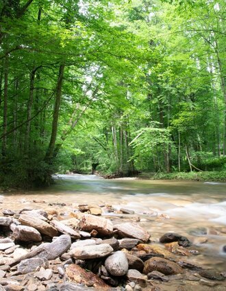 Natura 2000 area Klause Deutschlandsberg | Dominik Feibel | © TVB/Südsteiermark/Dominik Feibel