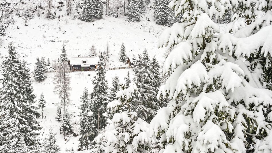Ski Touring Gumpeneck 2.226 m - Touren-Impression #2.5 | © Herfried Marek