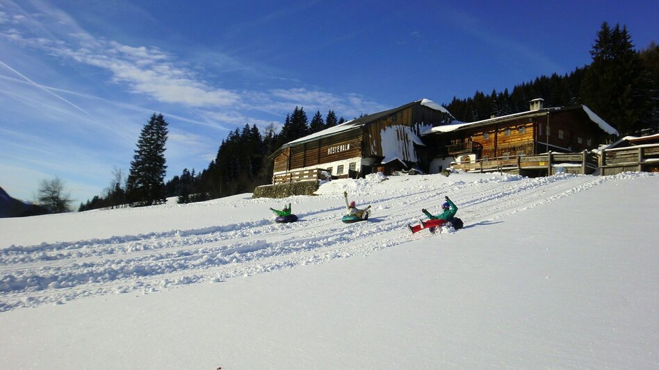 Sledding Snowtubing & Tobogganing Rösteralm - Touren-Impression #2.2 | © Stoanerhof