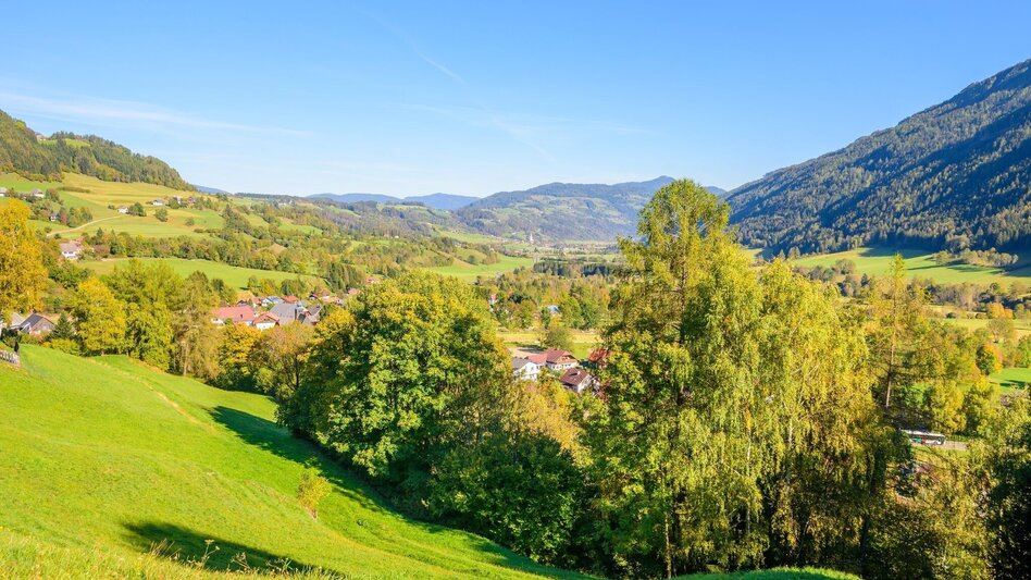 Mountain Biking Eichberg round - Touren-Impression #2.3 | © Tourismusverband Murau