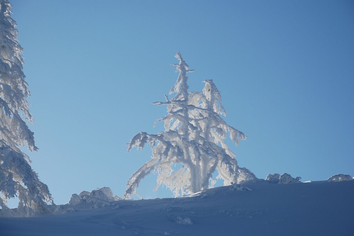 Winter Hiking Pichl-Vorberg Winter Walk - Touren-Impression #1 | © Erlebnisregion Schladming-Dachstein