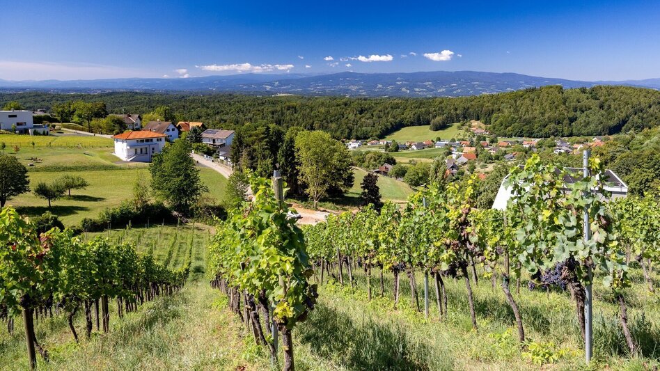 Wanderung Florianiberg und Gedersberg - Touren-Impression #2.3 | © Region Graz