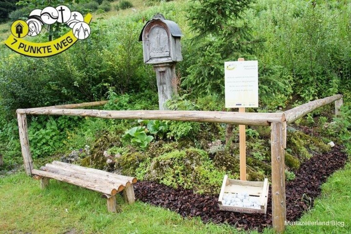 Wanderung 7 Punkte Weg Naturpark Mürzer Oberland - Mariazeller Land - Touren-Impression #1 | © www.mariazell.blog