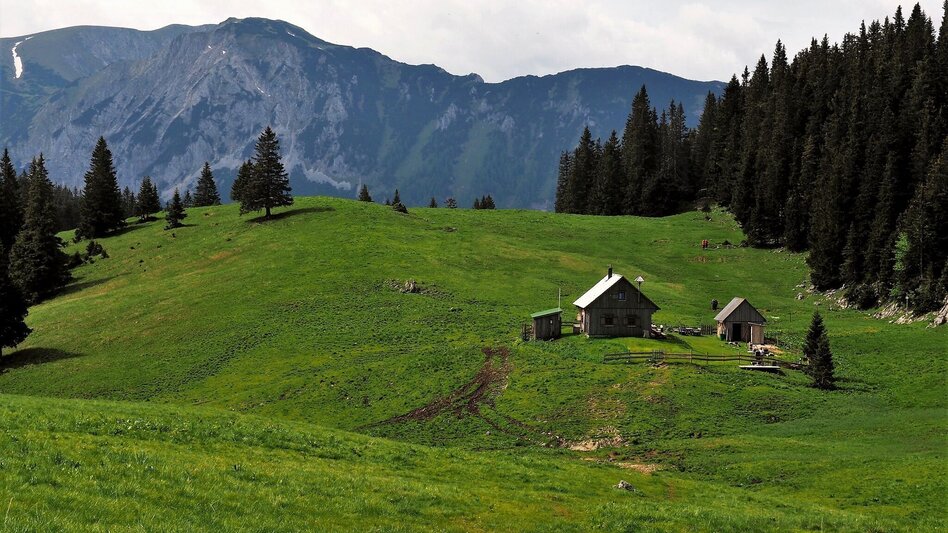 Wanderung 7 Punkte Weg Naturpark Mürzer Oberland - Mariazeller Land - Touren-Impression #2.12 | © TV Hochsteiermark