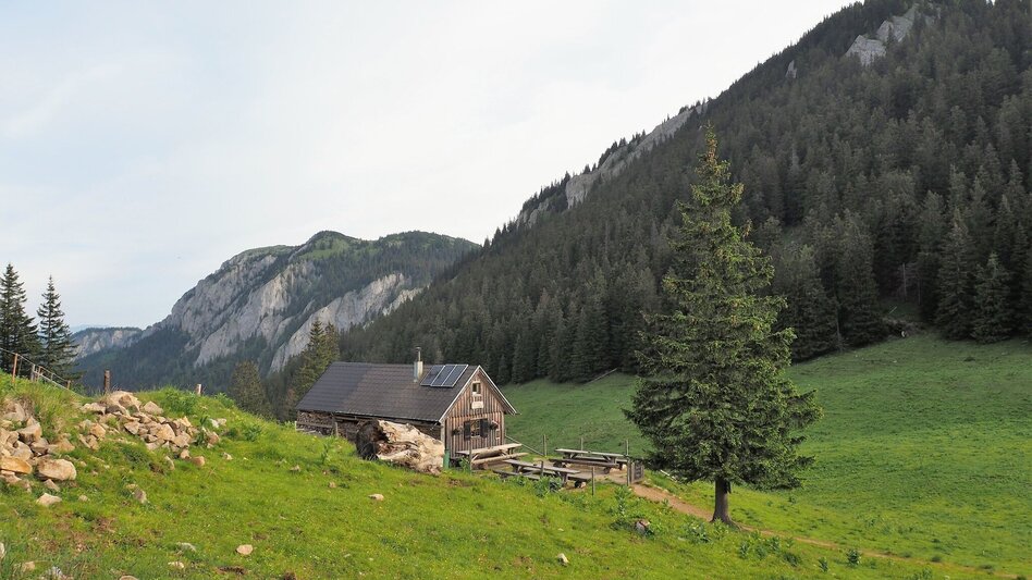 Wanderung 7 Punkte Weg Naturpark Mürzer Oberland - Mariazeller Land - Touren-Impression #2.13 | © TV Hochsteiermark
