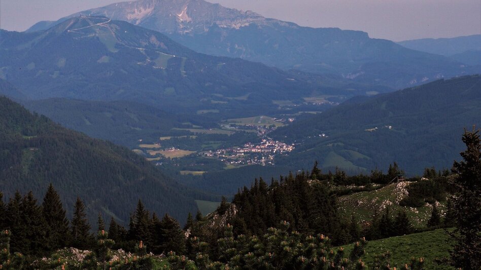 Wanderung 7 Punkte Weg Naturpark Mürzer Oberland - Mariazeller Land - Touren-Impression #2.14 | © TV Hochsteiermark