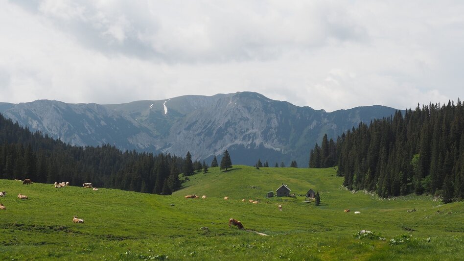 Wanderung 7 Punkte Weg Naturpark Mürzer Oberland - Mariazeller Land - Touren-Impression #2.15 | © TV Hochsteiermark