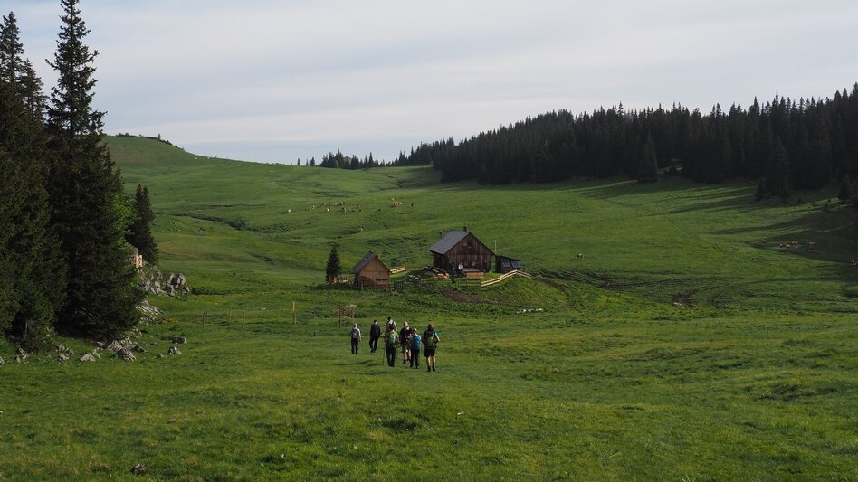 Wanderung 7 Punkte Weg Naturpark Mürzer Oberland - Mariazeller Land - Touren-Impression #2.18 | © TV Hochsteiermark